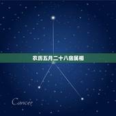农历五月二十八宿属相，1911农历五月二十八出生的是啥命