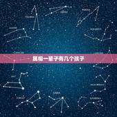 属相一辈子有几个孩子，82属狗一生有几个子女