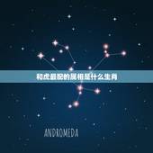 和虎最配的属相是什么生肖，虎与什么生肖最配 与什么相冲