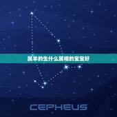 属羊的生什么属相的宝宝好，我和老公都属羊，该生个什么属相的孩子比较好？