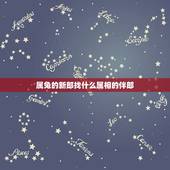 属兔的新郎找什么属相的伴郎，新娘属兔 新郎属龙 找什么属相的伴娘伴郎好