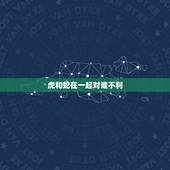 虎和蛇在一起对谁不利，为什么属虎和属蛇的不能在一起