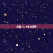 虎在2022年的运势，2022年属虎人的全年运势
