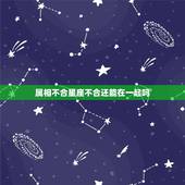 属相不合星座不合还能在一起吗，如果俩个人属相不和，真的不能在一起吗？