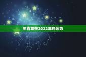 生肖龙在2022年的运势，生肖鼠在2022年的运势