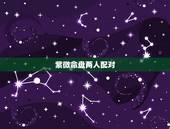 紫微命盘两人配对，生辰八字紫薇命盘 配对 合八字拜托