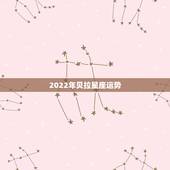 2022年贝拉星座运势，关于水瓶座的星座运势