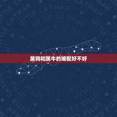 属狗和属牛的婚配好不好，属狗配什么属相最好
