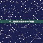 十二星座属相最配哪一个属相，十二生肖配对十二星座配对？