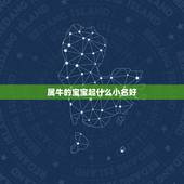 属牛的宝宝起什么小名好，属牛的叫什么小名更好