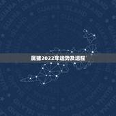 属猪2022年运势及运程，2022年运程十二生肖运程
