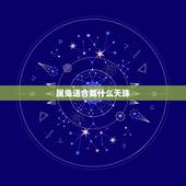 属兔适合戴什么天珠，属兔适合戴什么