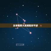 女羊和男大龙婚配好不好，女属羊男属龙相配吗