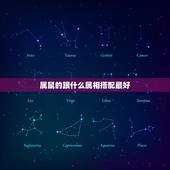 属鼠的跟什么属相搭配最好，男属龙的和什么属相最配