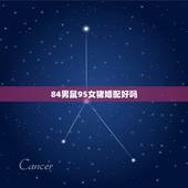 84男鼠95女猪婚配好吗，84男鼠和95女猪的婚配