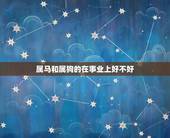 属马和属狗的在事业上好不好，狗和马合不合财