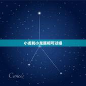 小龙和小龙属相可以婚，属相小龙配什么属相最好婚姻