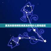 属龙的属相婚配表属龙的和什么属相最配，女生属龙的和什么属相最配，女性属