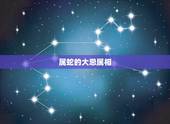 属蛇的大忌属相，蛇相克是什么生肖