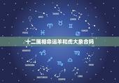 十二属相命运羊和虎大象合吗，属羊的和属虎命里相冲吗