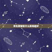 男生属猪配什么属相最好，属猪的男生配什么属相最好？