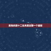 属兔的跟十二生肖里边哪一个最配，生肖兔和兔相配吗