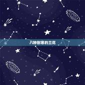 八种耐寒的兰花，什么品种的兰花耐暑寒？