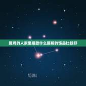 属鸡的人家里摆放什么属相的饰品比较好，1993年属鸡的家里放什么属相的