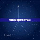 狗婚姻属相配对哪些不合适，十二生肖中，那些属相最不适宜结婚？