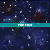 蛇年出生2022 年运势及运程，属牛2022 年运程