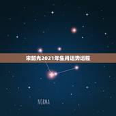 宋韶光2021年生肖运势运程，宋韶光鼠年运程
