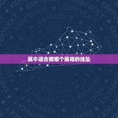 属牛适合戴哪个属相的挂坠，属牛的人带什么吊坠好