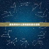属兔男和什么属相最配最合适呢，男兔和什么属相最配