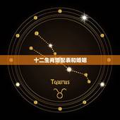 十二生肖婚配表和婚姻，十二生肖婚配