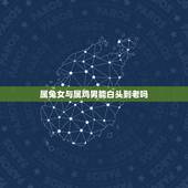 属兔女与属鸡男能白头到老吗，生肖鸡的三大忌