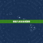 属鼠几点出生命最苦，鼠出生什么时候最苦