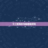 十二生肖牛与鼠婚配好吗，属相婚配：男属兔和女属牛相配吗
