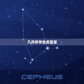 几月怀孕生虎宝宝，2022备孕更佳月份