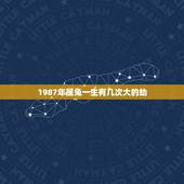 1987年属兔一生有几次大的劫，属兔1987年有孤寡命