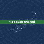 12生肖哪个属相生的孩子最好，12生肖哪个属相最好