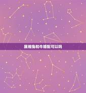 属相兔和牛婚配可以吗，属牛与属兔相配吗