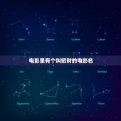 电影里有个叫招财的电影名，小弟的名字叫旺财是那部电影里的