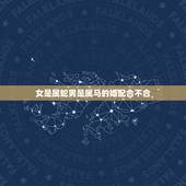 女是属蛇男是属马的婚配合不合，男属马与女属蛇婚配好吗