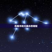 石榴木和大海水的婚配，1982大海水命女和1981石榴木命男孩婚配
