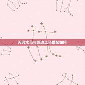 天河水马与路边土马婚配如何，天河水命的马男与42的羊女合婚吗？