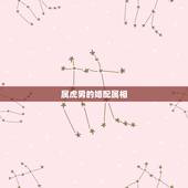 属虎男的婚配属相，属虎和什么属相最配