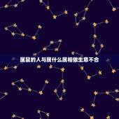 属鼠的人与属什么属相做生意不合，属鼠人和什么属相不合