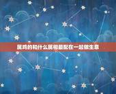 属鸡的和什么属相最配在一起做生意，属鸡2019和什么属相做生意