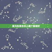 属马生意合伙人哪个属相好，合伙人属相搭配