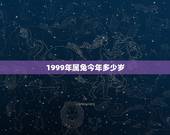 1999年属兔今年多少岁，1999年出生的今年虚岁多大了，属什么的？